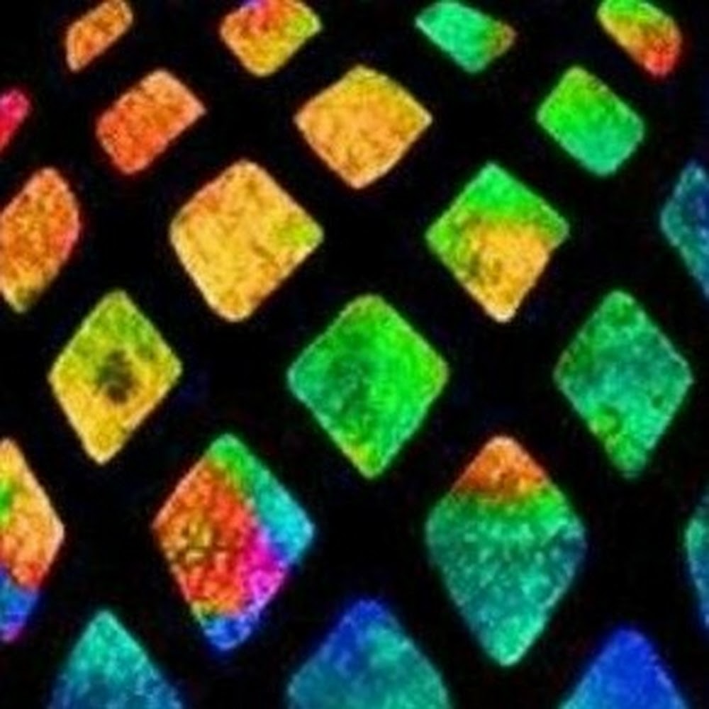 Meet your Posher, Nichole